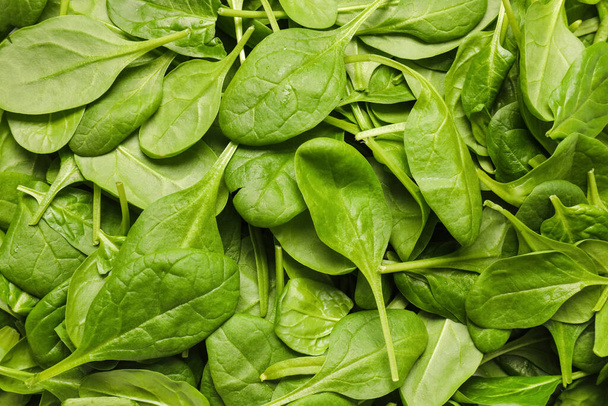 Fresh green spinach as background - Photo, Image