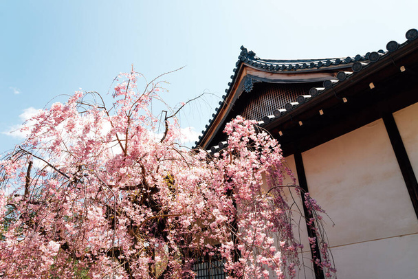 Templo Byodo-in en primavera en Uji, Kyoto, Japón - Foto, Imagen
