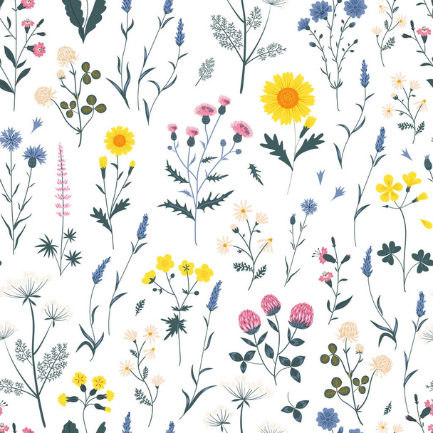 Seamless pattern with meadow flowers and leaves on blue background.  - Vector, Image