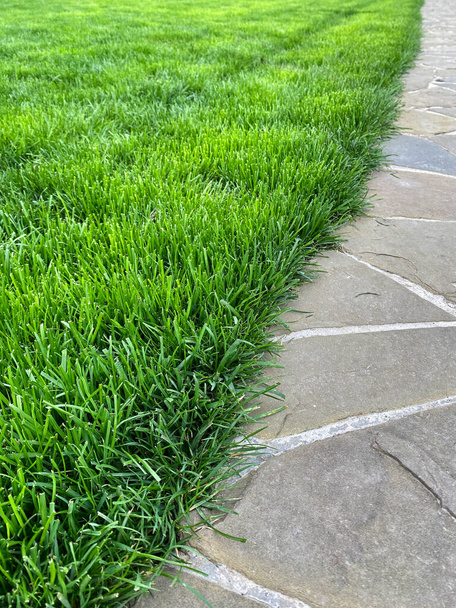 Gerade Linie eines neuen gepflegten grünen Rasenteppichs entlang eines steinernen Bürgersteigs in einem Stadtpark oder Hinterhof. Landschaftsplanung. Rasenpflege, Mähen, Füttern - Foto, Bild