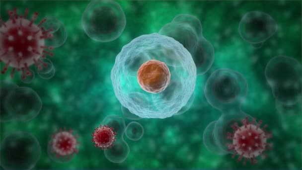 3d animaatio monia soluja, mikro-organismeja. Virus tunkeutuu soluun ja moninkertaistuu. Solu kuolee. Animaatio lääketieteellisiä ja tieteellisiä koostumuksia, bannereita. - Materiaali, video