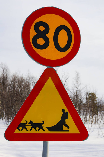 Kiruna, Σουηδία Προειδοποίηση οδικής σήμανσης για έλκηθρα σκύλου σε χιονισμένο δρόμο. - Φωτογραφία, εικόνα