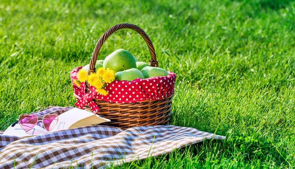 mesa de picnic cubierta con mantel a cuadros y cesta de picnic - Foto, imagen