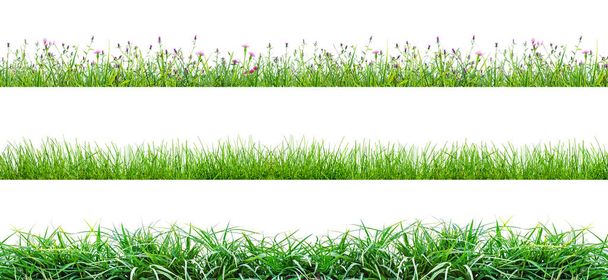 green grass and flowers isolated on white background - Photo, Image