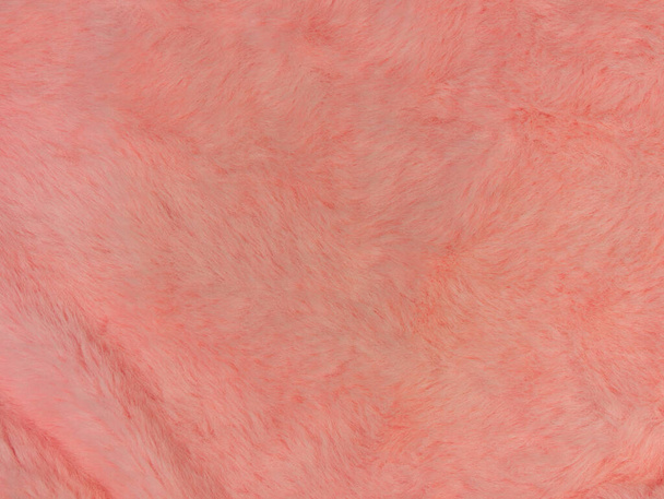 Pink fur texture top view. Coral fluffy fabric coat background. Winter fashion color trends feminine flat lay, female blog rose backdrop for text sign desidgn. Girly abstract wallpaper textile surface - Photo, Image