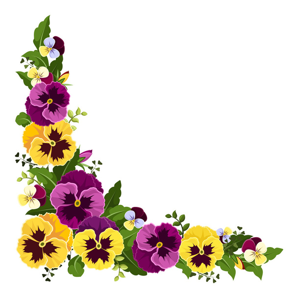 Corner background with pansy flowers. Vector illustration. - Wektor, obraz