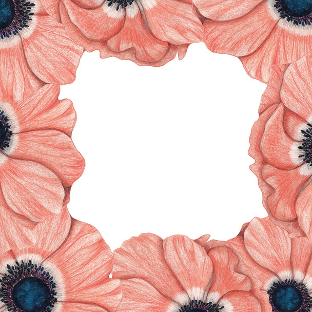 frame van roze anemonen - Foto, afbeelding