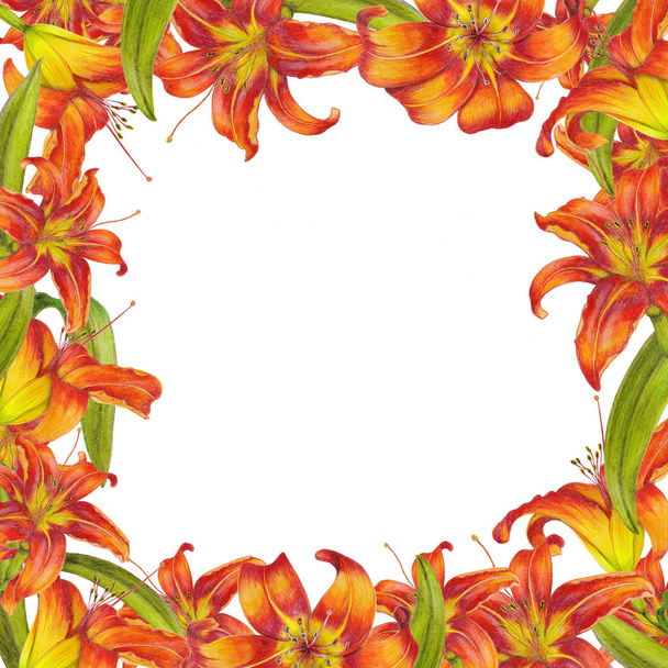 Frame of lilies - Valokuva, kuva