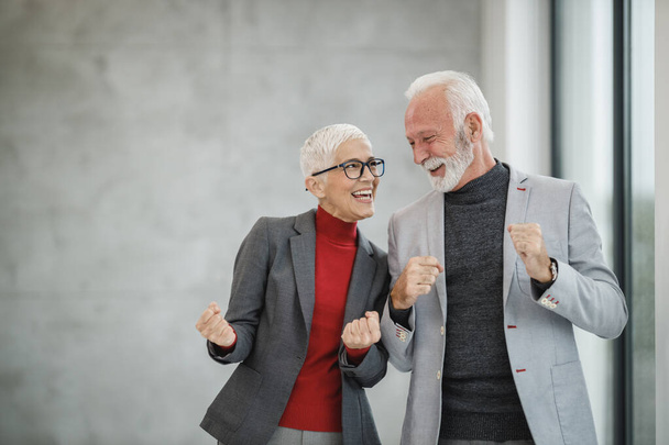 Προσωπογραφία δύο χαμογελαστών επιτυχημένων ηλικιωμένων επιχειρηματιών που υψώνουν τις γροθιές τους ενώ στέκονται σε ένα σύγχρονο γραφείο. - Φωτογραφία, εικόνα