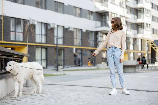 Γυναίκα περπατά με το μεγάλο άσπρο σκυλί της στο δρόμο - Φωτογραφία, εικόνα