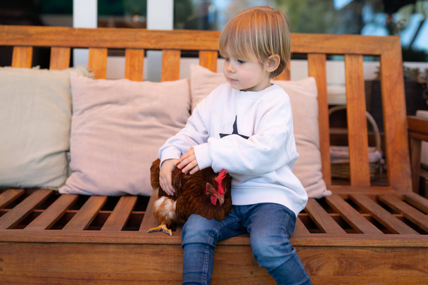 Little boy is playing with a hen in the garden at home - Φωτογραφία, εικόνα