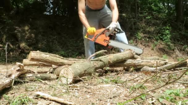 木を刈る - 映像、動画