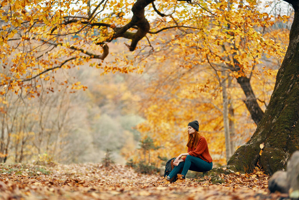 жінка восени в парку біля великого дерева і в рюкзаку на землі
 - Фото, зображення