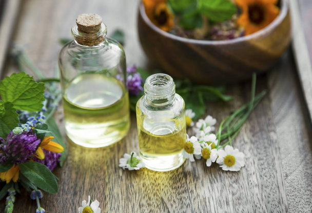 Aceites de aromaterapia a base de plantas medicinales y hierbas, botellas de aceites esenciales - Foto, imagen