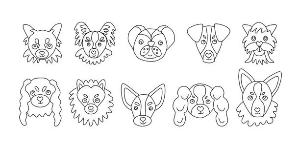Coleção de ícones vetoriais de retratos de cães pequenos desenhados no estilo de rabiscos. Um conjunto de logotipos de cachorro de brinquedo bonito. Ilustração vetorial em estilo cartoon. Desenhos para colorir para crianças e adultos. Esboço  - Vetor, Imagem