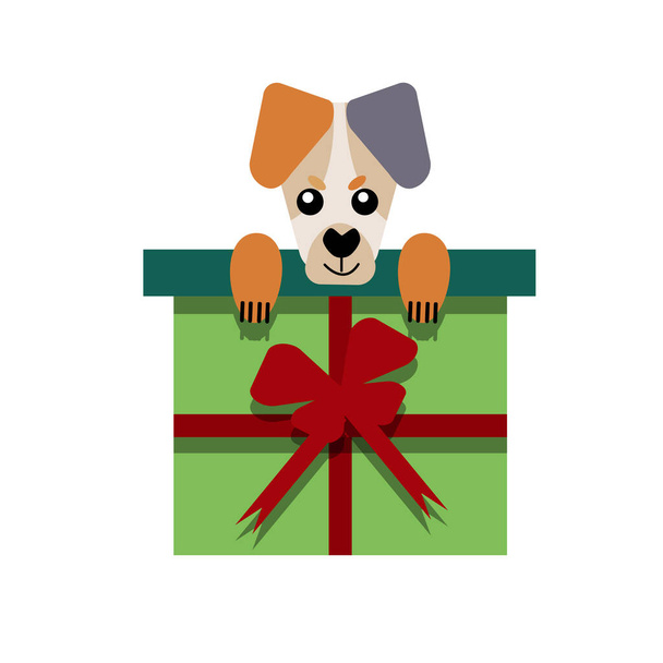 A puppy as a gift. Vector icon portrait of a small dog looking out of a box, drawn in the flat style. Cute Jack Russell Terrier  puppy. Vector illustration in cartoon style.  - Vector, Image
