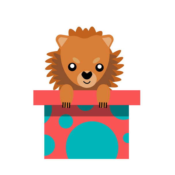 Een puppy als geschenk. Vector pictogram portret van een kleine hond kijken uit een doos, getekend in de platte stijl. Leuke Pommerse puppy. Vector illustratie in cartoon stijl. Speelgoedhond - Vector, afbeelding