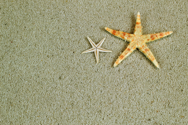 Starfish in the beach sand with copy space, postcard concept - Fotoğraf, Görsel