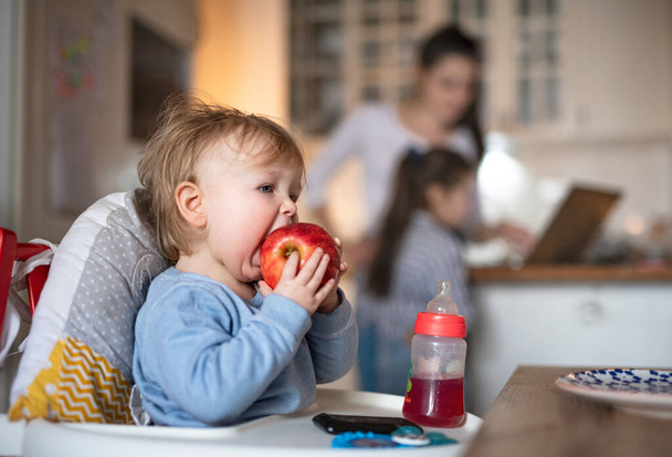 Small toddler girl sitting in highchair and eating apple. - Foto, Bild