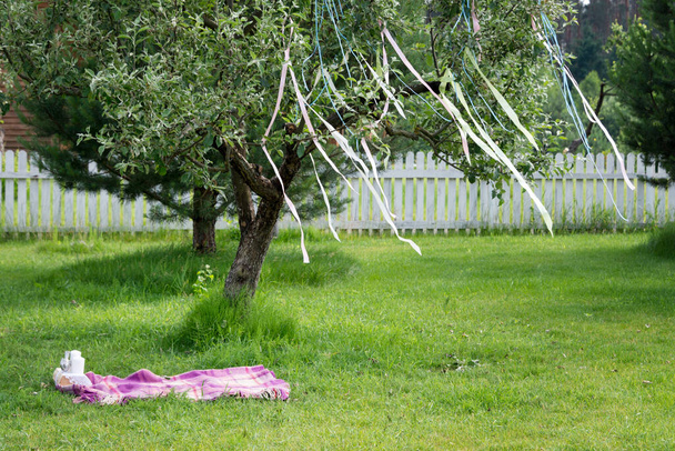 Picnic setting for a couple in love. Carpet in the garden - Photo, Image