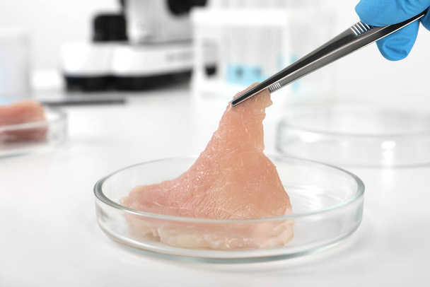 Ученый берет сырое культурное мясо из чашки Петри с пинцетом за белым столом в лаборатории, крупным планом - Фото, изображение