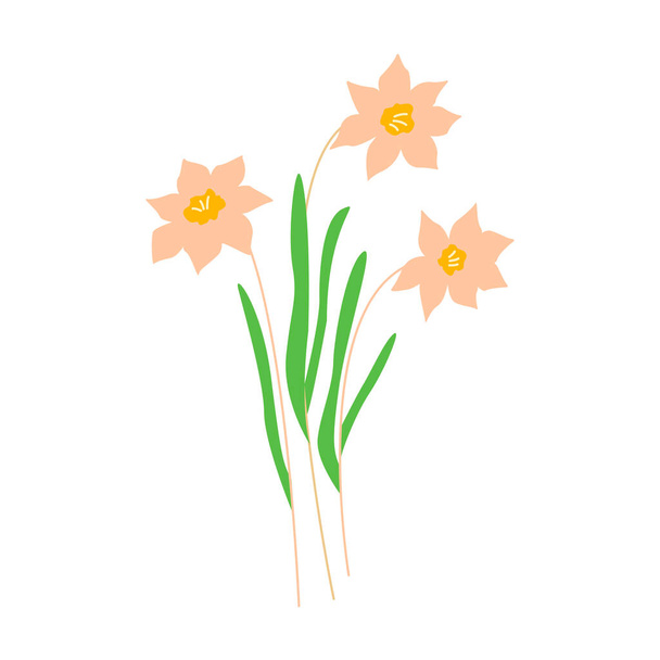 Daffodils flowers. Three narcissus flowers. Colorful hand drawn vector illustration - Vector, Image