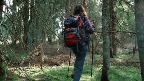 Peri masalı ormanında yürüyüş yapan bir kadın. Yaz ormanlarında yürüyen kadın turist. - Video, Çekim