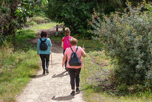 Três mulheres em um trilho de caminhada através da floresta na primavera - Foto, Imagem