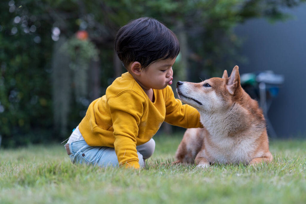 Chlapec líbá psa Shiba inu. Šťastný chlapec na dovolené. - Fotografie, Obrázek