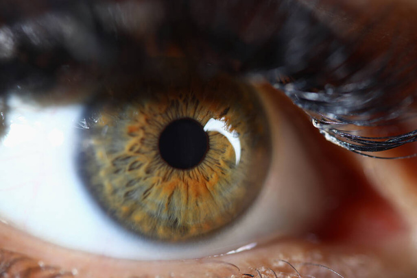 Primo piano di bellissimo occhio umano marrone verde - Foto, immagini