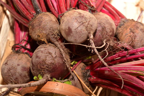 rode rapen in houten mandje groenten voedsel - Foto, afbeelding