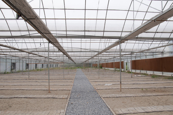 Agricultural greenhouse - Photo, Image