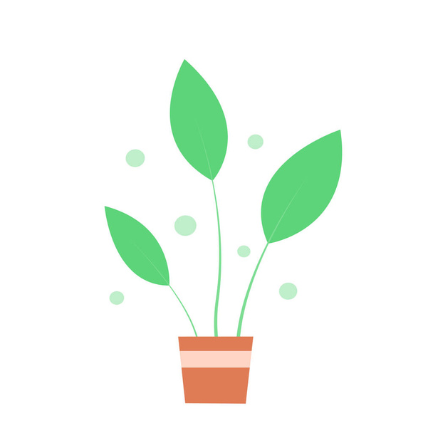 Зеленое растение в горшке на белом фоне. Векторная изолированная иллюстрация - Вектор,изображение
