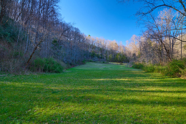Campo abierto en el bosque nacional de Pisgah Carolina del Norte. - Foto, imagen