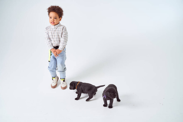 Kleiner afroamerikanischer Junge mit zwei schwarzen Labrador-Welpen. Hochwertiges Foto - Foto, Bild