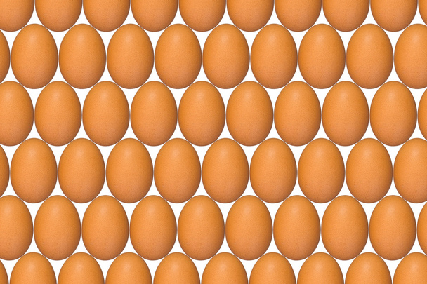 Eggs and more eggs - Foto, Imagem