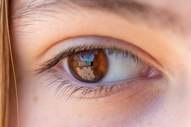 Detail van het bruine oog van een meisje met reflectie, wimpers, wenkbrauw en blond haar. - Foto, afbeelding