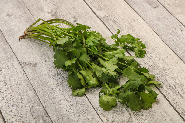 Aroma Cilantro verde o cilantro hojas montón - Foto, imagen