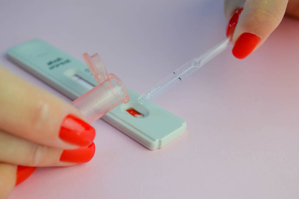 koronavirus testi vaaleanpunainen matta tausta. Lääketieteellinen toimenpide. vaaleanpunainen lanseetti sormen lävistykseen. veripisara lisätään testiin sepelvaltimoviruksen määrittämiseksi. - Valokuva, kuva