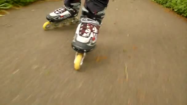 Una vista de cerca de las piernas en ropa deportiva con patines blancos rojos negros. El hombre está rápidamente patinando sobre asfalto camino en el parque, hierba y hojas en el suelo
. - Metraje, vídeo