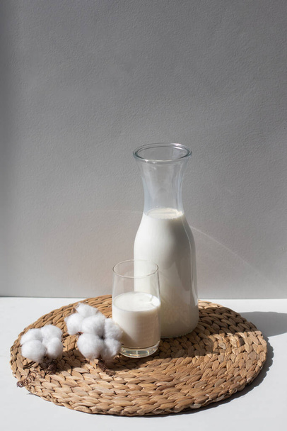 Feliz día de la leche. Jarra de leche y vidrio sobre fondo claro - Foto, imagen