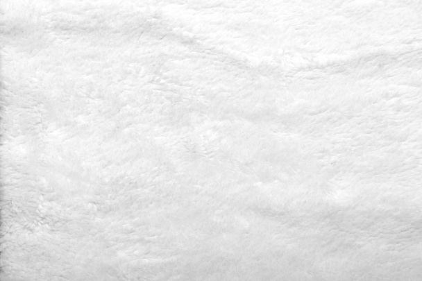 Beyaz kürklü hayvan doku kökenli - Fotoğraf, Görsel