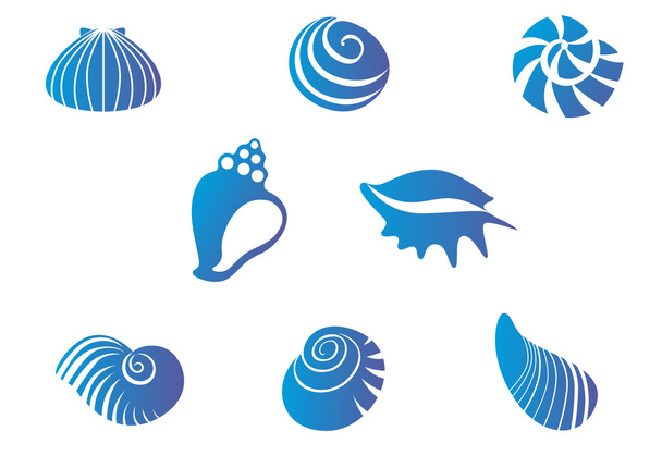 conjunto de conchas marinas - Vector, imagen