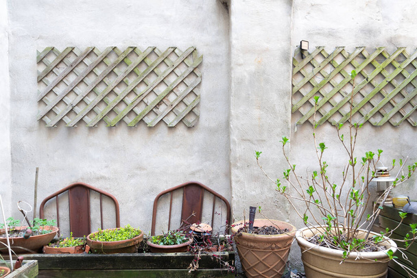 Saksı bitkileri ve bitkiler. Beton duvarın ve ahşap kafesin üzerinden kırsal bir bakış. - Fotoğraf, Görsel