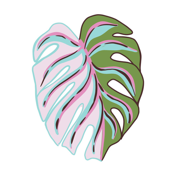Decorative leaf monstera on white background. Abstract colorful sketch tropical leaf. Vector illustration design. - Vector, Imagen