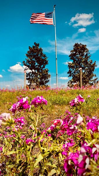 Amerikanische Flagge auf einem Feld mit Magnolienbäumen und rosa Blumen - Foto, Bild