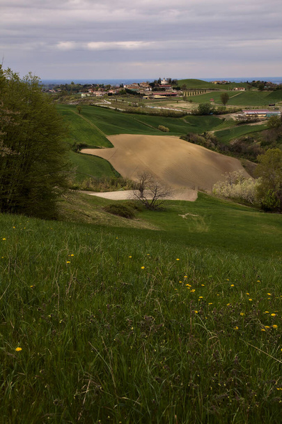 Fields and woods on the ridges of hills on a rainy day in the italian countryside - Photo, image