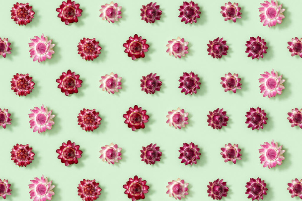 Pattern with close-up bud of dry flowers, small blossoms on green. Natural flowery background. Pastel colors, top view, flat lay. - 写真・画像