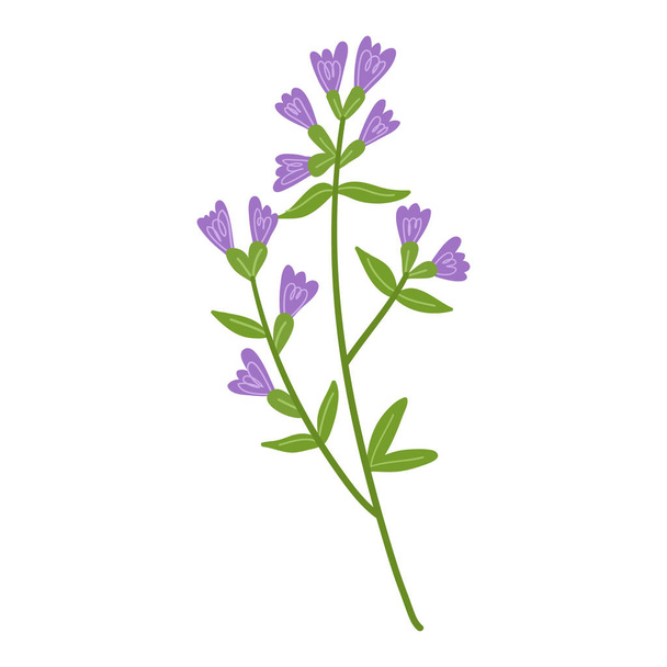 Vector designer elements of purple flower - Vector, Imagen