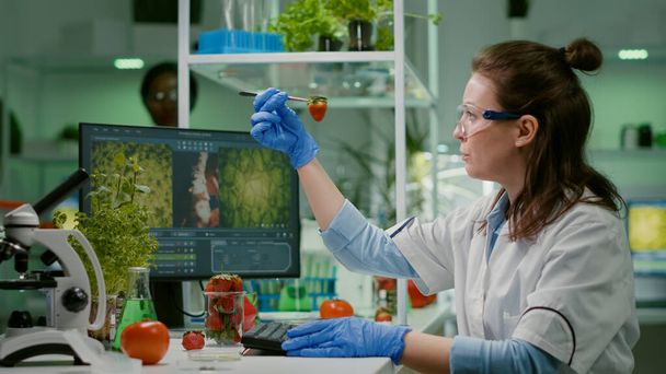 Wetenschapper chemicus controleert aardbei met behulp van medische pincet - Foto, afbeelding